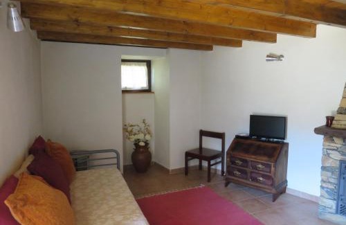 Gois Casa | Casa das Oliveiras
