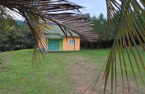 Doutor Pedrinho Casa | Casa das Palmeiras