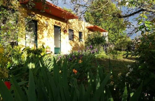 Mangualde Casa | Casa Das Palmeiras-Pedagogic Farm