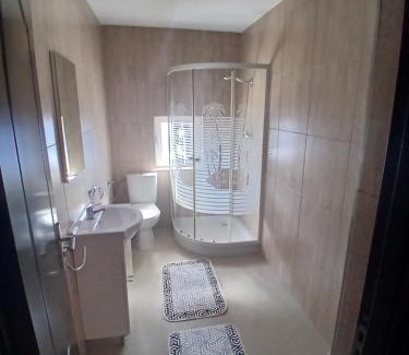 Sighetu Marmatiei Casa | Casa David
