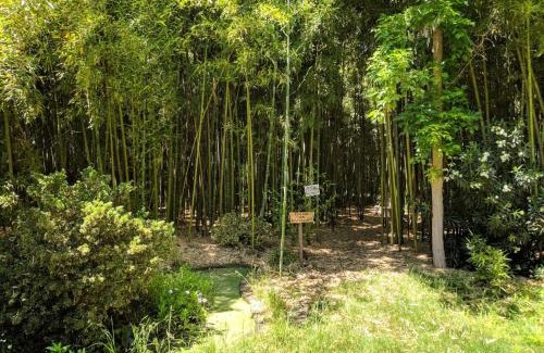 Isla de Maipo Casa | Casa de Adobe Remanso del Espíritu