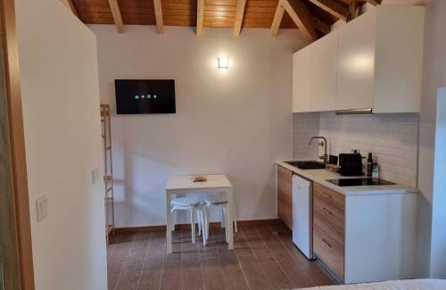 Arouca Apartamento | Casa de baixo studios