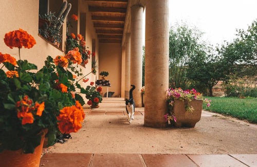 Estollo Casa | Casa de Campo La Solana