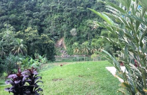 Arecibo Apartamento | Casa de Campo Rio Arriba