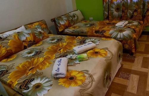 Alaminos Casa | Casa de Flores
