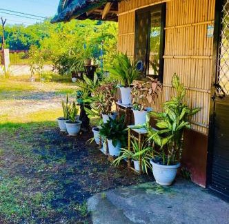Alaminos Casa | Casa de Flores