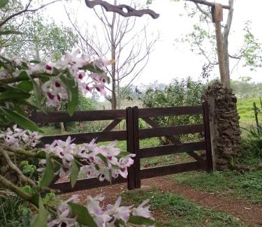 El Soberbio Casa | Casa de la Guayubira