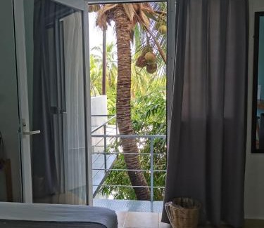 Brisas de Zicatela Casa | Casa De La Palmera