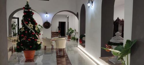 Palma del Rio Cama Y Desayuno | CASA DE LA SEÑORA