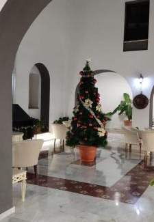 Palma del Rio Cama Y Desayuno | CASA DE LA SEÑORA