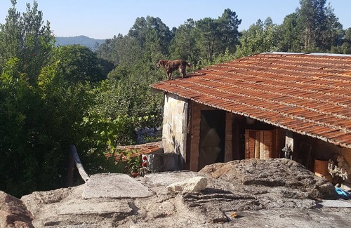 Sao Pedro do Sul Casa | Casa de Lagarto-quinta-naturaleza-B & B