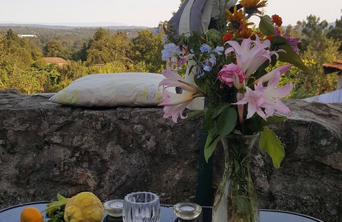 Sao Pedro do Sul Casa | Casa de Lagarto-quinta-naturaleza-B & B