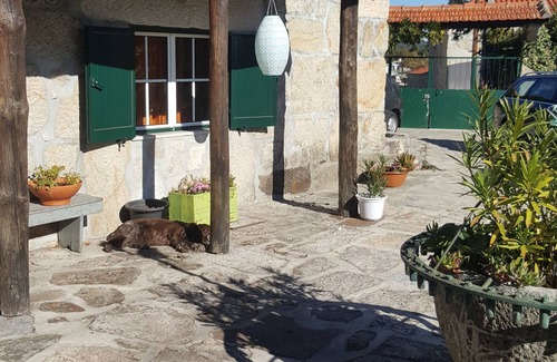 Sao Pedro do Sul Casa | Casa de Lagarto-quinta-naturaleza-B & B