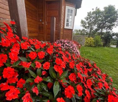 Lavras Novas Chalet De Esquí | Casa de madeira em Lavras Novas