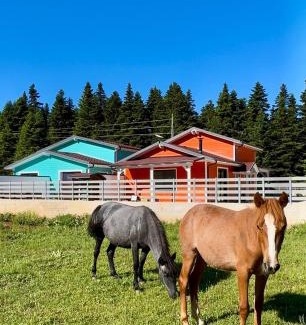Kefalochori Chalet De Esquí | Casa de Madera