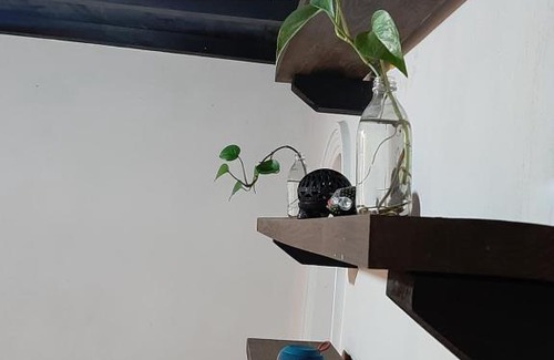 De Guadalupe Casa | Casa de Tlaly