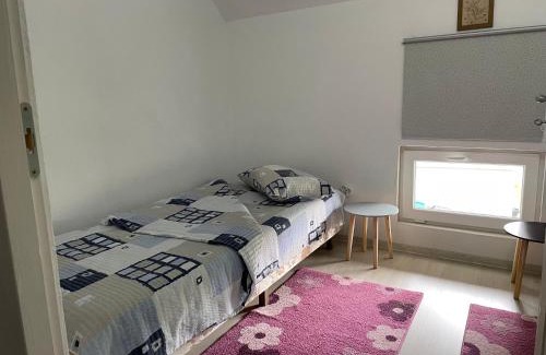 Sincraieni Casa | Casa de oaspeți Cristina