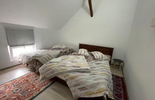 Sincraieni Casa | Casa de oaspeți Cristina