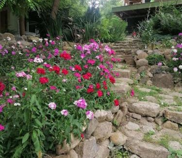 Merei Apartamento | Casa de oaspeti adorabila aproape de natura