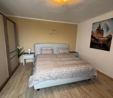 Sighisoara Casa | Casa de pe deal Sighisoara