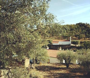 Vimioso Casa | Casa de Pimenteis
