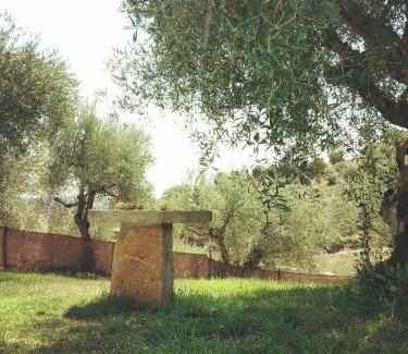 Vimioso Casa | Casa de Pimenteis