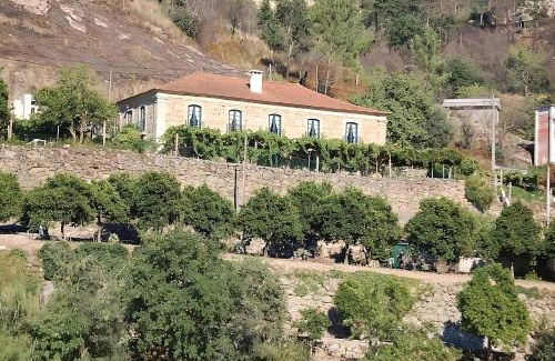 Oliveira do Douro Casa | Casa de Rebolfe (Cinfães - Douro)