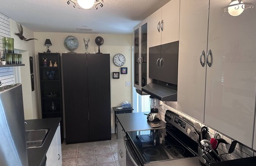 St. Petersburg - Clearwater Cabaña | Casa de Roble Guest Suite Saltwater Pool