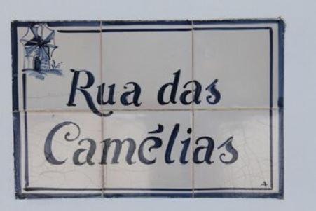 Baiona Casa | Casa de Seixe