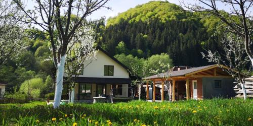 Banita Casa | Casa de vacanță Edya