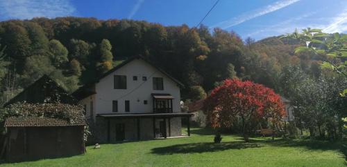 Banita Casa | Casa de vacanță Edya
