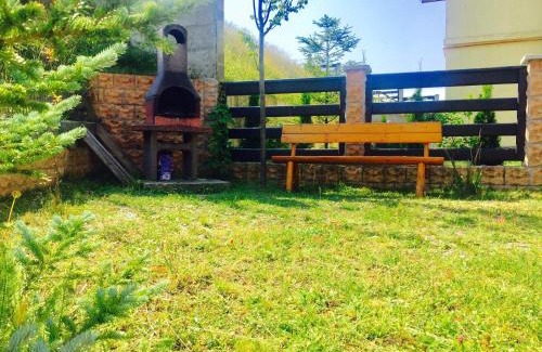 Poiana Tapului Casa | Casa De Vacanta Elena