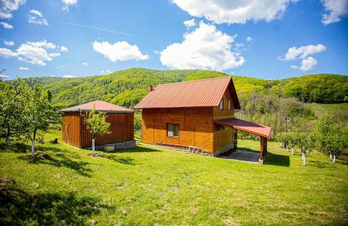 Pianu de Sus Casa | Casa de Vacanta Hanes
