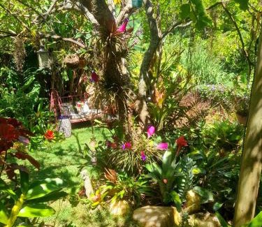 Petropolis Casa | Casa de vidro