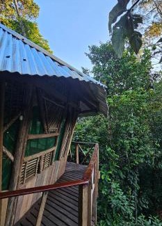 Leticia Apartamento | Casa del árbol - Kiosko el Tacana
