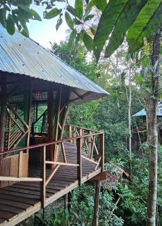 Leticia Apartamento | Casa del árbol - Kiosko el Tacana