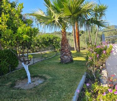 Gialtra Casa | Casa del Mar