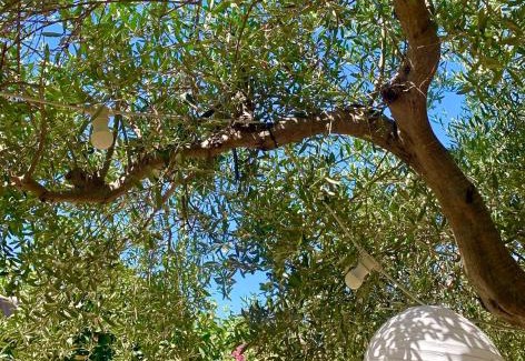 Paceco Casa | Casa dell'Olio - Al Baglio