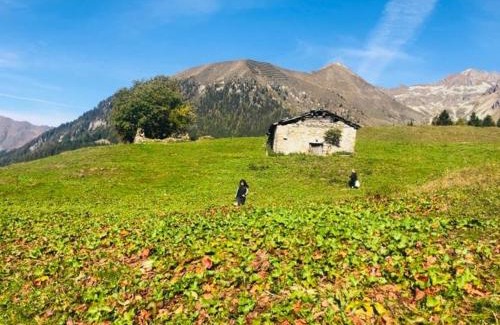 Foppolo Apartamento | casa della neve