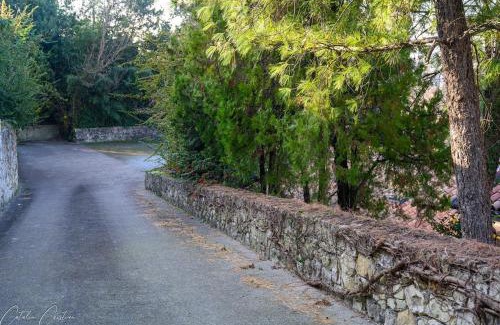 Pedemonte Apartamento | Casa delle Magnolie