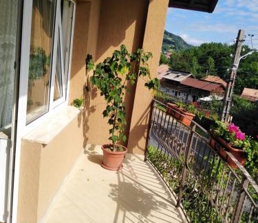 Oestii Paminteni Casa | Casa Diana-Maria