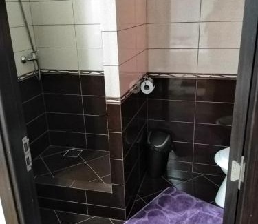 Oestii Paminteni Casa | Casa Diana-Maria