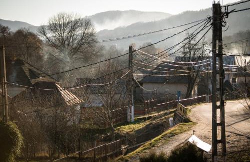 Oestii Paminteni Casa | Casa Diana