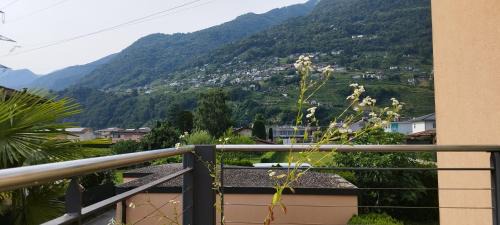 Riazzino Casa | Casa Diana Ticino