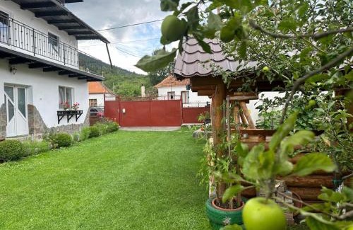 Zarnesti Casa | Casa Didi