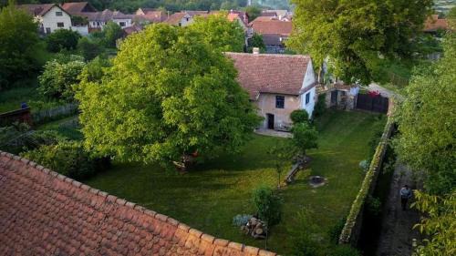 Mandra Casa | Casa din Şona