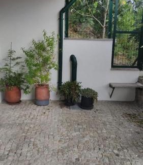 Amarante Casa | Casa Dionísio