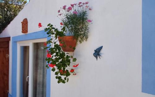 Sao Teotonio Casa | Casa do Brejão campo e praia