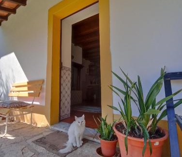 Porto de Mos Casa | Casa do Largo