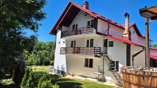 Oestii Paminteni Casa | Casa Dobrin
